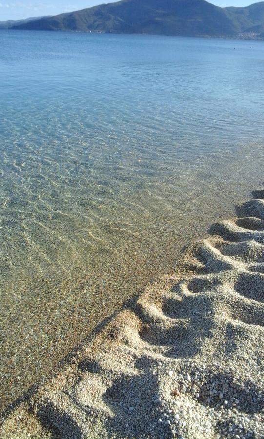 Athanasia * Nea Vrasna